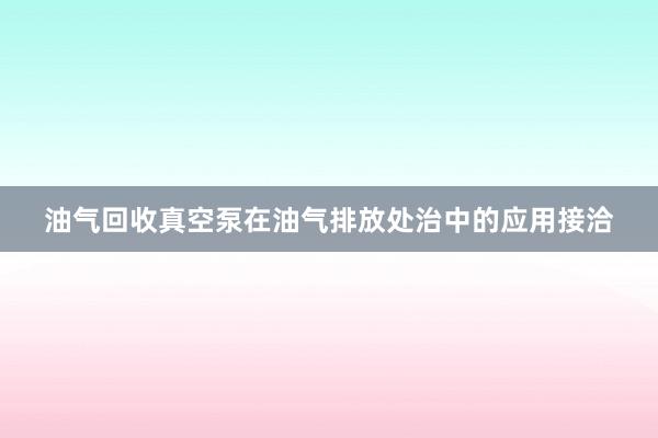 油气回收真空泵在油气排放处治中的应用接洽