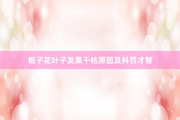 栀子花叶子发黑干枯原因及科罚才智