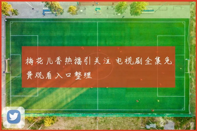 梅花儿香热播引关注 电视剧全集免费观看入口整理